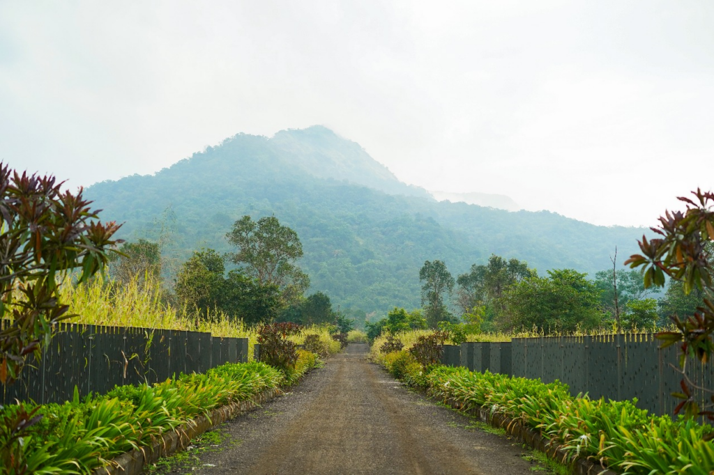 Agriculture land in Karjat for sale