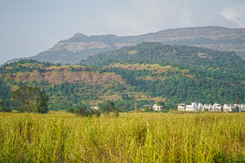 Agricultural land for sale in Karjat
